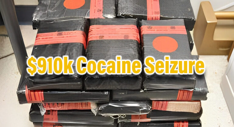 CBP Officers Seize Over $910K In Cocaine at World Trade Bridge