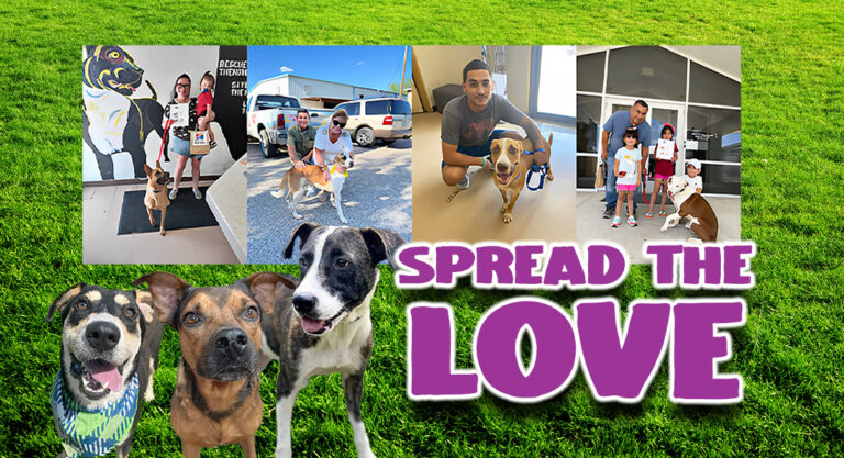 Spreading Joy with Fee-Waived Adoptions