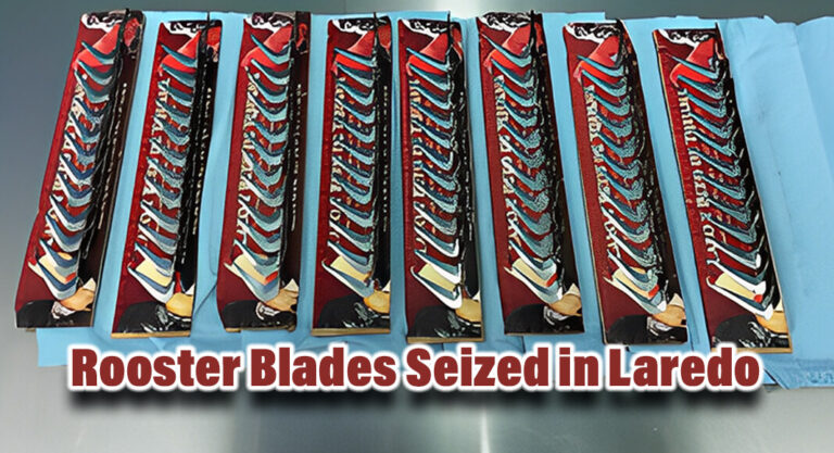 CBP Officers Seize Rooster Blades at Juarez-Lincoln Bridge