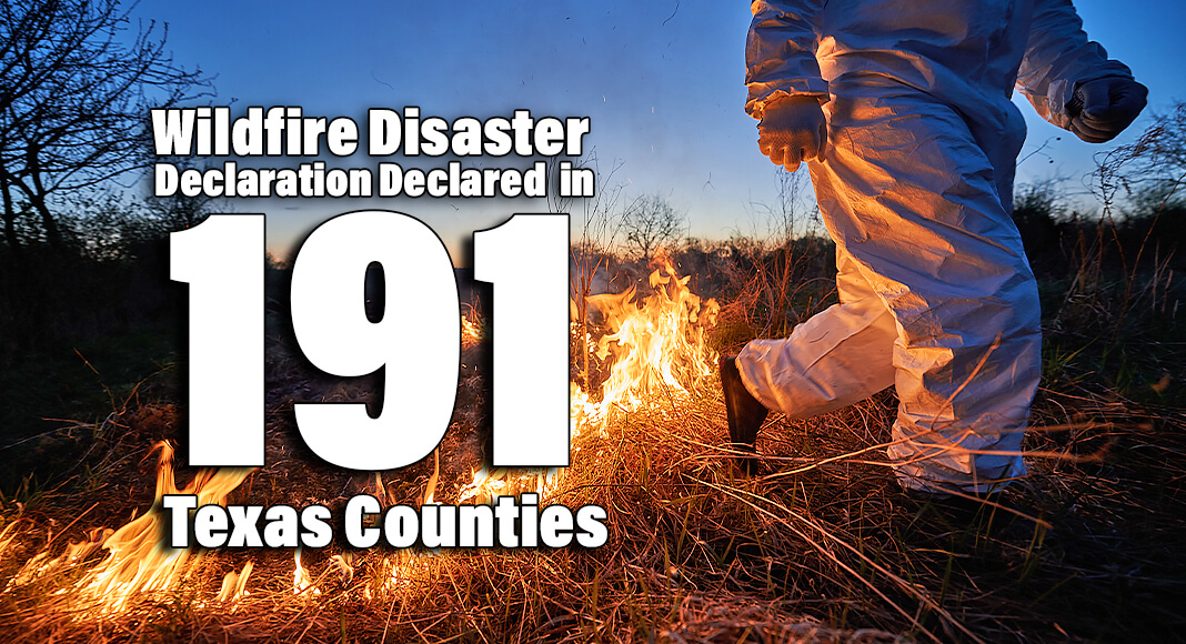 Gov Issues Disaster Declaration For Wildfire Activity In 191 Counties Texas Border Business 6038