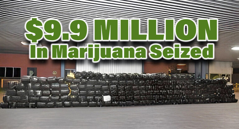 CBP Officers Seize $9.9 Million In Marijuana at World Trade Bridge