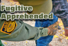 Laredo CBP Officers Apprehend Fugitive Sought for Sexual Offense