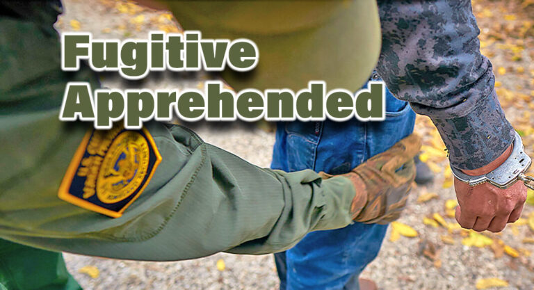 Laredo CBP Officers Apprehend Fugitive Sought for Sexual Offense