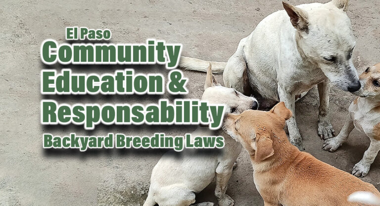 Educating El Paso Community on Backyard Breeding Laws as Shelter Remains Full