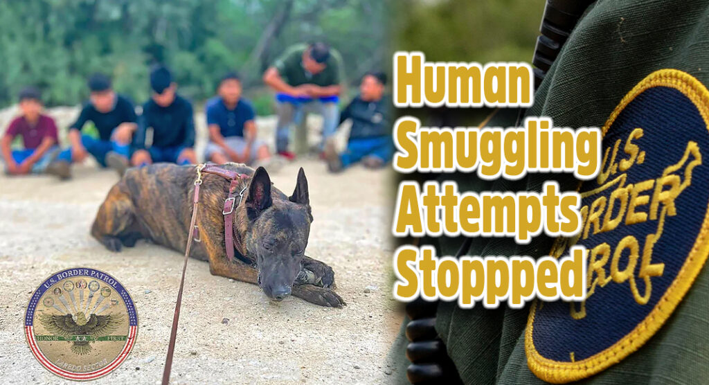 Laredo BP Intercepted Human Smuggling Attempts - Texas Border Business