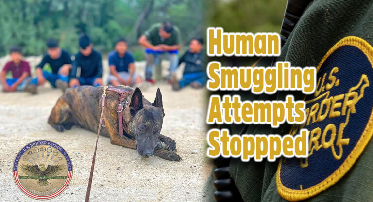 Laredo BP Intercepted Human Smuggling Attempts  
