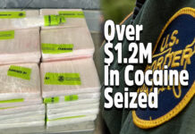 CBP Seizes Over $1.2M In Cocaine at Pharr International Bridge