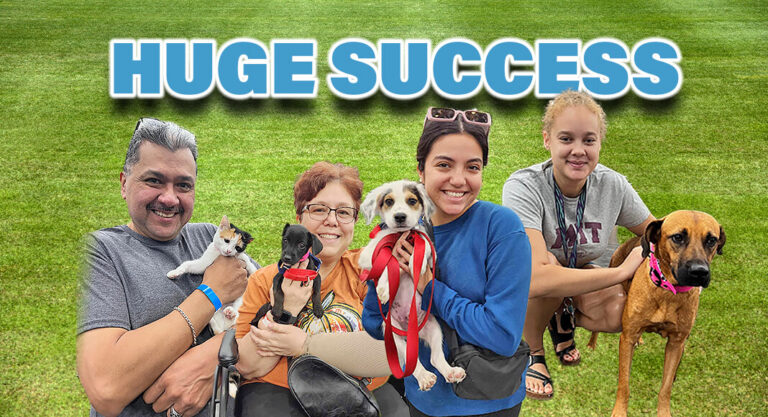Unbelievably Successful Adoption Event