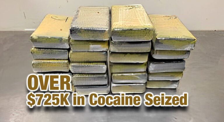 CBP officers seize over $725K in cocaine at the Hidalgo International Bridge 