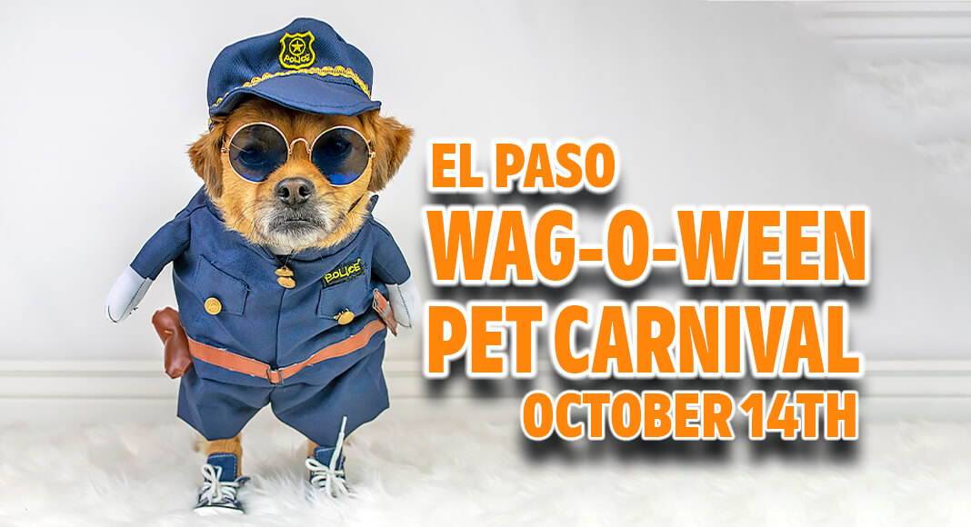The City of El Paso Animal Services will host the first annual Wag-O-Ween Pet Carnival from noon to 6 p.m. Saturday, October 14, at the Tails at the Times Adoption Center, 501 E Mills Ave. Image for illustration purposes