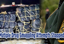 RGV Border Patrol Agents Foil Multiple Drug Smuggling Attempts