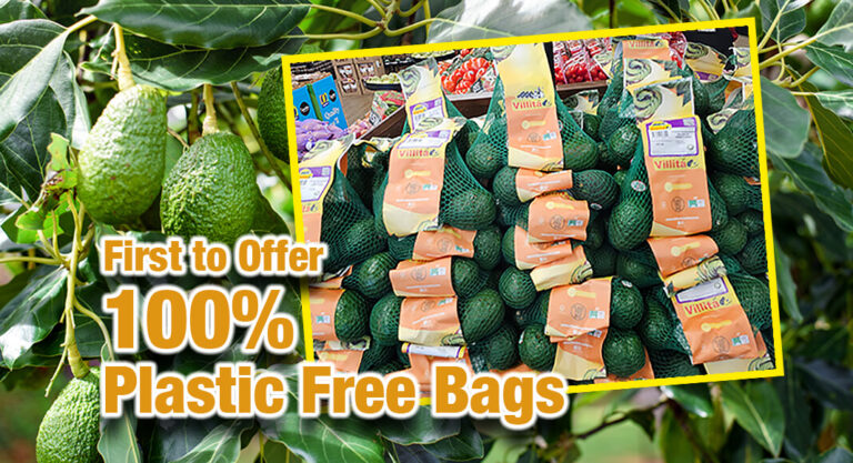 Villita Avocados First to Oﬀer 100% Plastic Free Bags to US Retailers