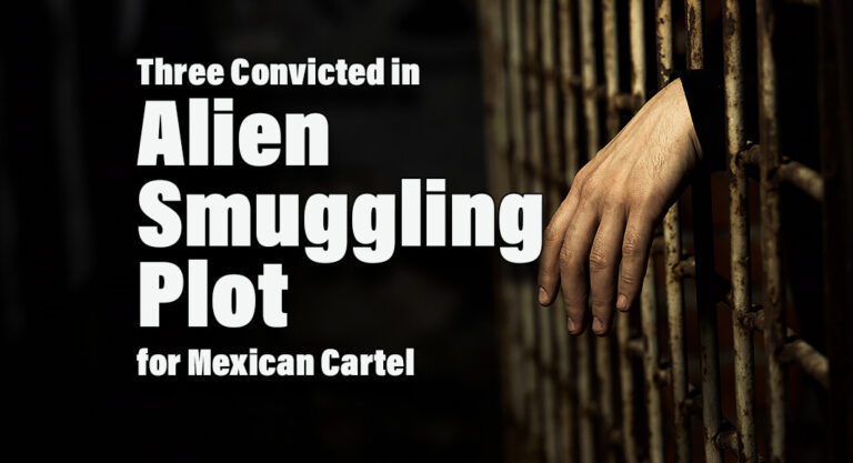 Three Convicted in Alien Smuggling Plot For Mexican Cartel