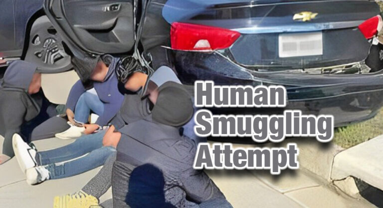 Laredo BP Agents Stop Human Smuggling Attempt 