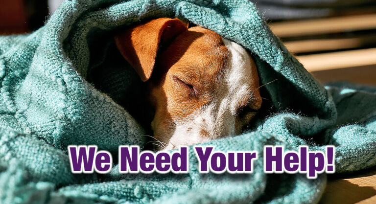 PVAS: Urgent Plea for Community Support Amid Looming Arctic Blast