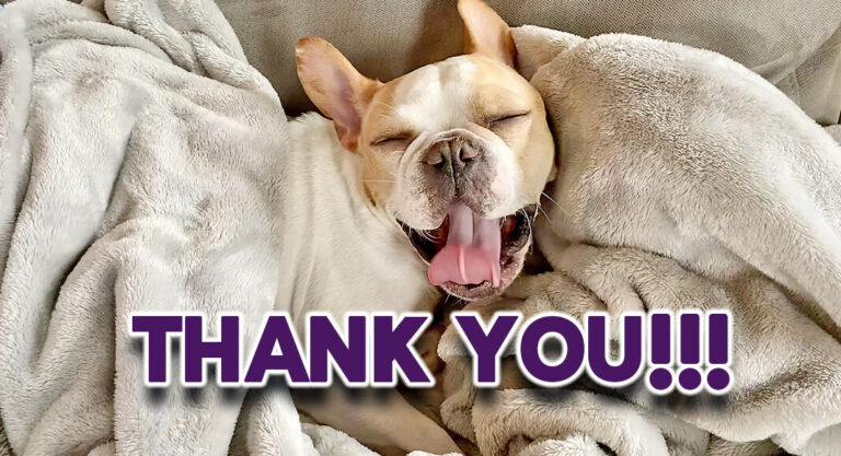 Palm Valley Animal Society Expresses Gratitude for Swift Community Response