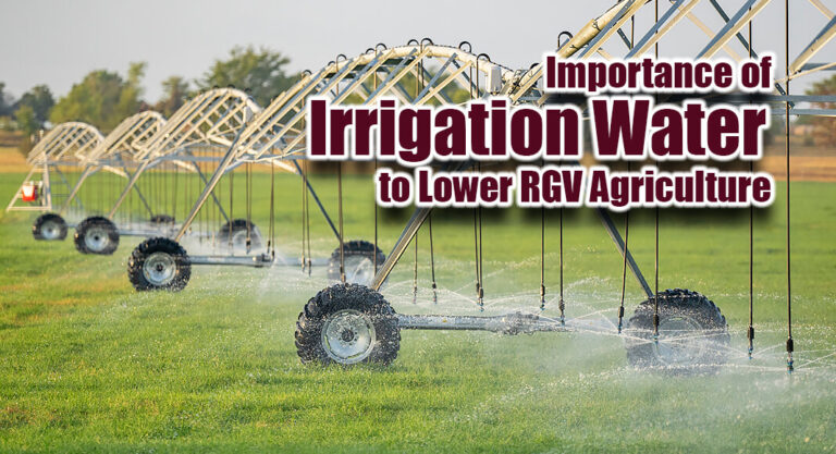 Importance of Irrigation Water to Lower RGV Agriculture 