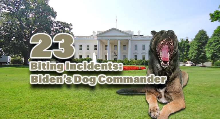 Judicial Watch Lawsuit Records Reveal at Least 23 Biting Incidents by Biden’s Dog Commander