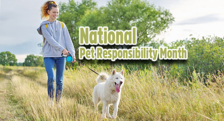 Promoting National Pet Responsibility Month