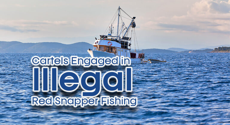 New Bill Takes Aim at Cartels Engaged in Illegal Red Snapper Fishing