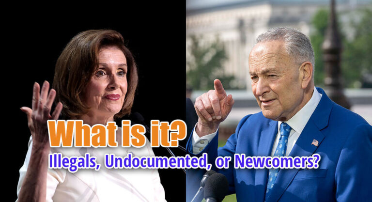 What is it? Illegals, Undocumented, or Newcomers?