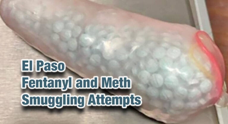 El Paso Area CBP Officers Find Drugs & More During Busy Week 