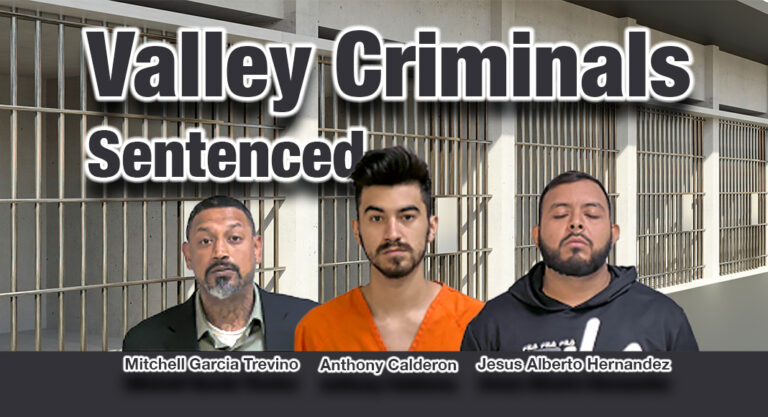 Hidalgo County District Attorney: Criminal Sentencing Update