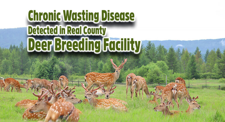 Chronic Wasting Disease Detected in Real County Deer Breeding Facility