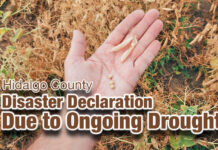 Hidalgo County Judge Issues Disaster Declaration Due to Ongoing Drought