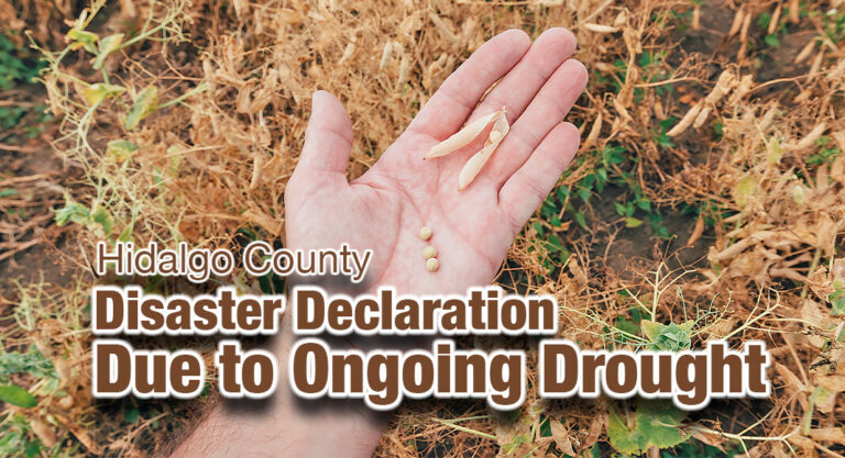 Hidalgo County Judge Issues Disaster Declaration Due to Ongoing Drought
