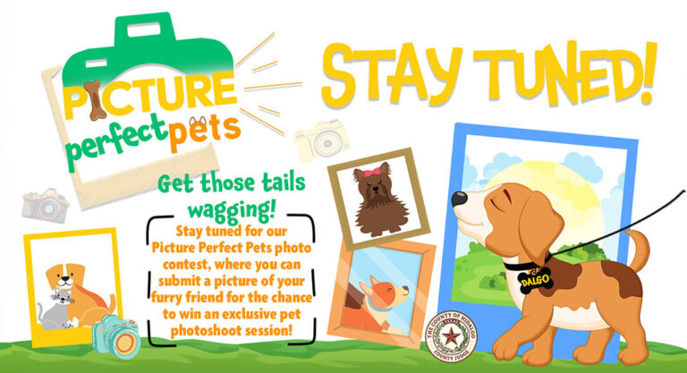 Pet Parents Day with a Picture Perfect Pets Photo Contest