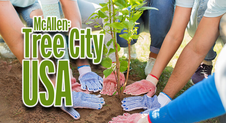 McAllen Receives Tree City USA Designation  