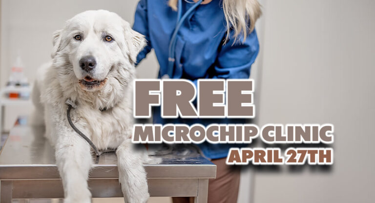 City of McAllen, PVAS Free Microchip Clinic, April 27th