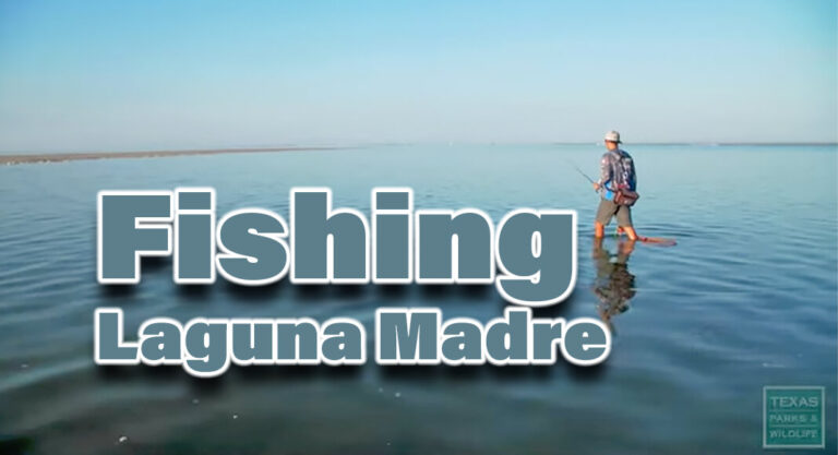 Fishing Laguna Madre
