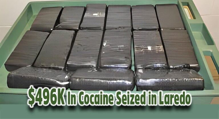CBP Seizes $496K In Cocaine in Commercial Truck Hauling Cotton Candy at World Trade Bridge