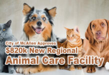 City of McAllen Approves $820k New Regional Animal Care Facility