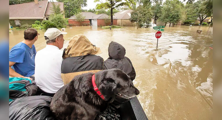 Federal Forecasters Predict The Highest Number Of Storms Ever for 2024 Season