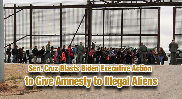 Sen. Cruz Blasts Biden Executive Action to Give Amnesty to Illegal Aliens