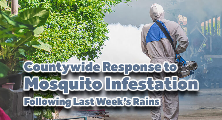 Hidalgo County, Municipalities Initiate Countywide Response to Mosquito Infestation Following Last Week’s Rains