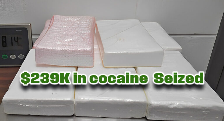 CBP officers seize over $239K in cocaine at the Anzalduas International Bridge