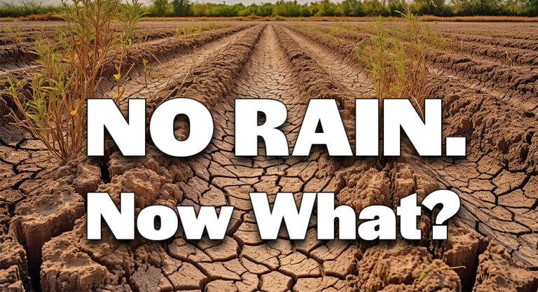 What Happened to the Rain Expected for Deep Texas? And Now What?