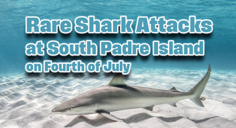 Rare Shark Attacks at South Padre Island on Fourth of July