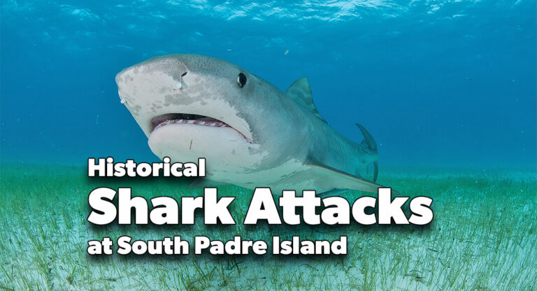 Historical Shark Attacks at South Padre Island