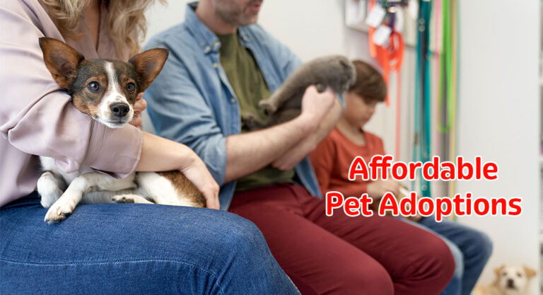 Bissell Pet Foundation Makes Pet Adoptions More Affordable at BARCC in the Month of July