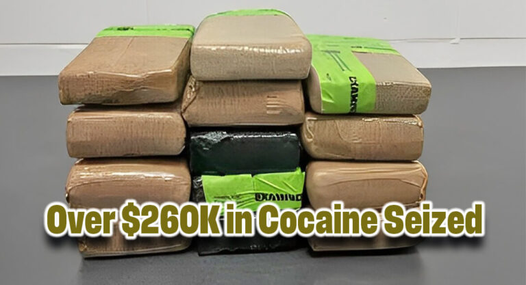 CBP Officers Seize Over $260K in Cocaine at Anzalduas International Bridge