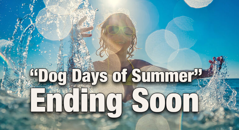 The Phenomenon of the “Dog Days of Summer” Ending Soon