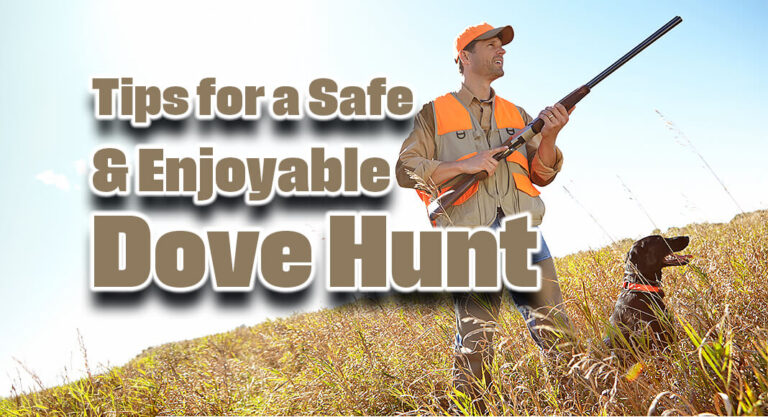 Texas Game Wardens Offer Tips for a Safe, Enjoyable Dove Hunt