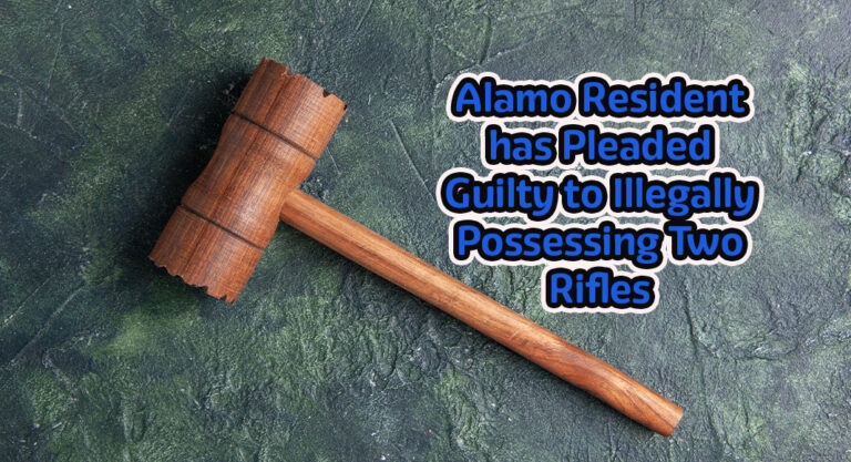 South Texas felon convicted for possessing firearms