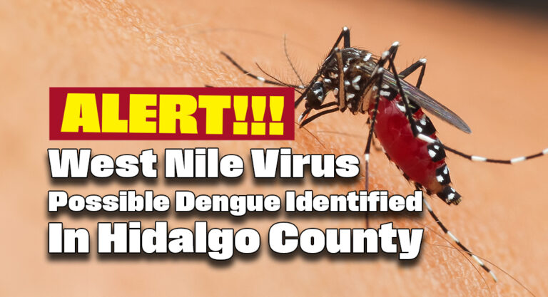 West Nile Virus, Possible Dengue Identified in Hidalgo County