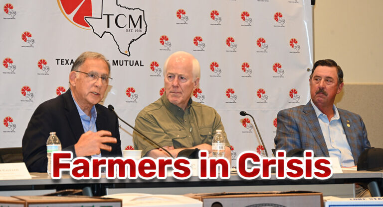 Rio Grande Valley’s Struggle with Water Shortages and Government Inaction